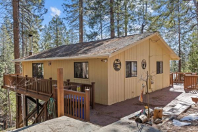 Big Trees, Little Cabin